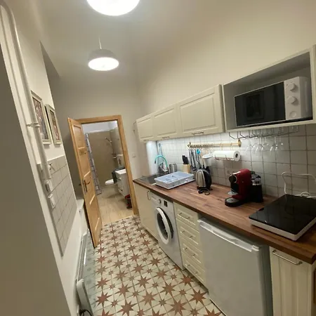 Amazing Kazinczy Flat No. 1 布达佩斯